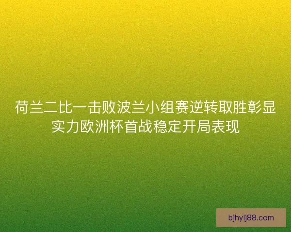 荷兰二比一击败波兰小组赛逆转取胜彰显实力欧洲杯首战稳定开局表现 荷兰二比一击败波兰小组赛逆转取胜彰显实力欧洲杯首战稳定开局表现