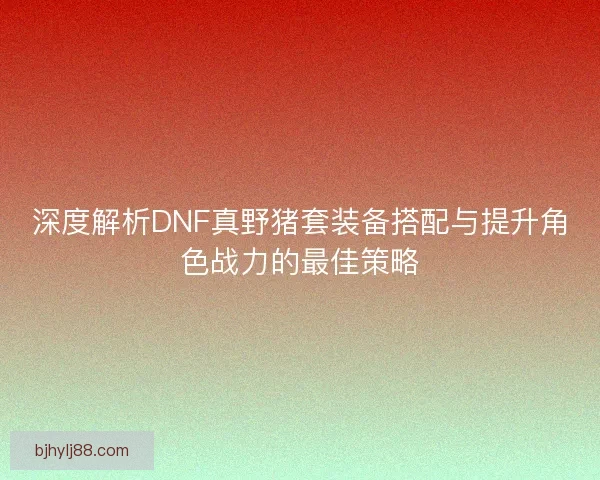 深度解析DNF真野猪套装备搭配与提升角色战力的最佳策略