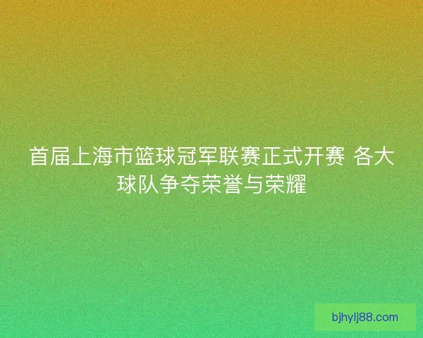 首届上海市篮球冠军联赛正式开赛 各大球队争夺荣誉与荣耀 首届上海市篮球冠军联赛正式开赛 各大球队争夺荣誉与荣耀