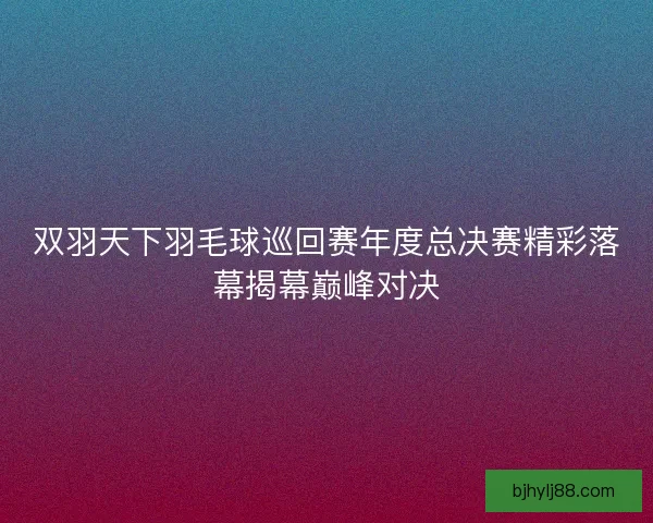 双羽天下羽毛球巡回赛年度总决赛精彩落幕揭幕巅峰对决