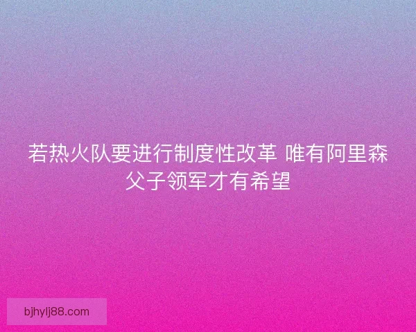 若热火队要进行制度性改革 唯有阿里森父子领军才有希望